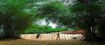 đặc sản hà nam thử là mê