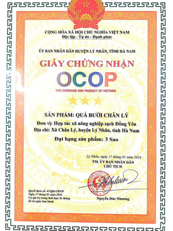 Qủa Bưởi Chân Lý - Hình ảnh 2